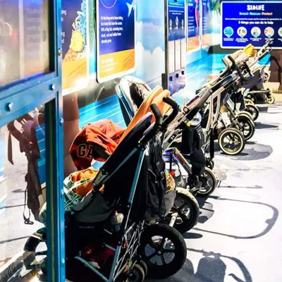 Buggy Park