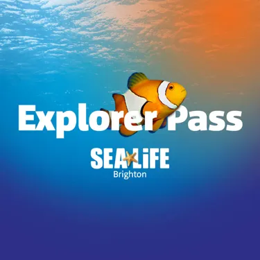 Prebook Explorer Pass Birghton